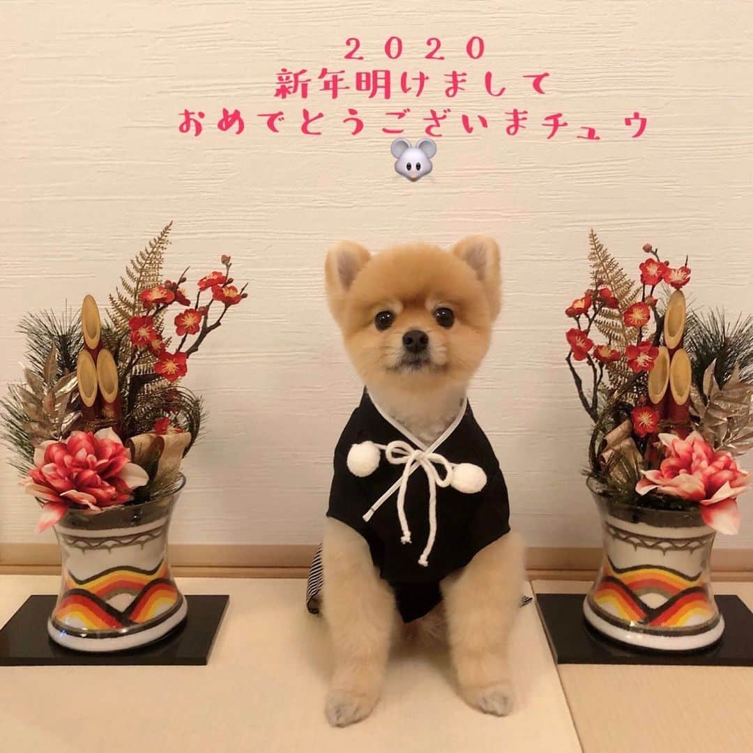 築地Azamiのインスタグラム：「築地Azami】 ～築地駅より徒歩2分～ URLはこちら⇒(@tsukijiazami_official) ---------------------------- 新年明けましておめでとうございます。昨年中は皆様に大変お世話になりました。 本年も宜しくお願い致します。 新年は6日より営業いたします。 #鍋 #築地azami #宴会 #お寿司 #豊洲市場 市場 #鮮魚 #foodstagram #築地 #東京 #貸切 #中央区 #instafood #飲み放題 #宴会 #隠れ家 #割烹 #焼酎 #sashimi #地酒 #酒 #貸切 #東銀座 #コース料理 #魚 #レストラン #和牛 #おばんざい #居酒屋 #小料理 #和食ごはん#ポメラニアン」