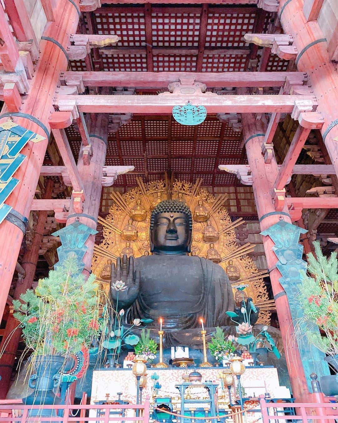 長谷川朋美さんのインスタグラム写真 - (長谷川朋美Instagram)「人生初の#奈良の大仏 ✨ 奈良の大仏ってこんなに大きいんだーって感激😂❤️ ・ 大仏様がある、#東大寺 は#世界最大級の木造建築物 だそうです！ 本当こんなに大きいと思わなくて… 大きさ画像から伝わるかな⁉︎ ・ 日本の文化建築物では、一番感激したかも。 いってよかったー！ ・ それにしても、お正月の京都も奈良も、 半数は外人だったな。 日本人の私でもこれだけ感動するのだから、 海外ゲストからしたら日本amazing‼︎だよね😂 ・ 日本の文化をもっと海外に伝えていきたいな🌈 ・ #amazingview #japan #日本文化 #奈良 #nara #古都 #大仏 #todaiji #temple #お寺」1月3日 7時41分 - hasegawa.elena.tomomi