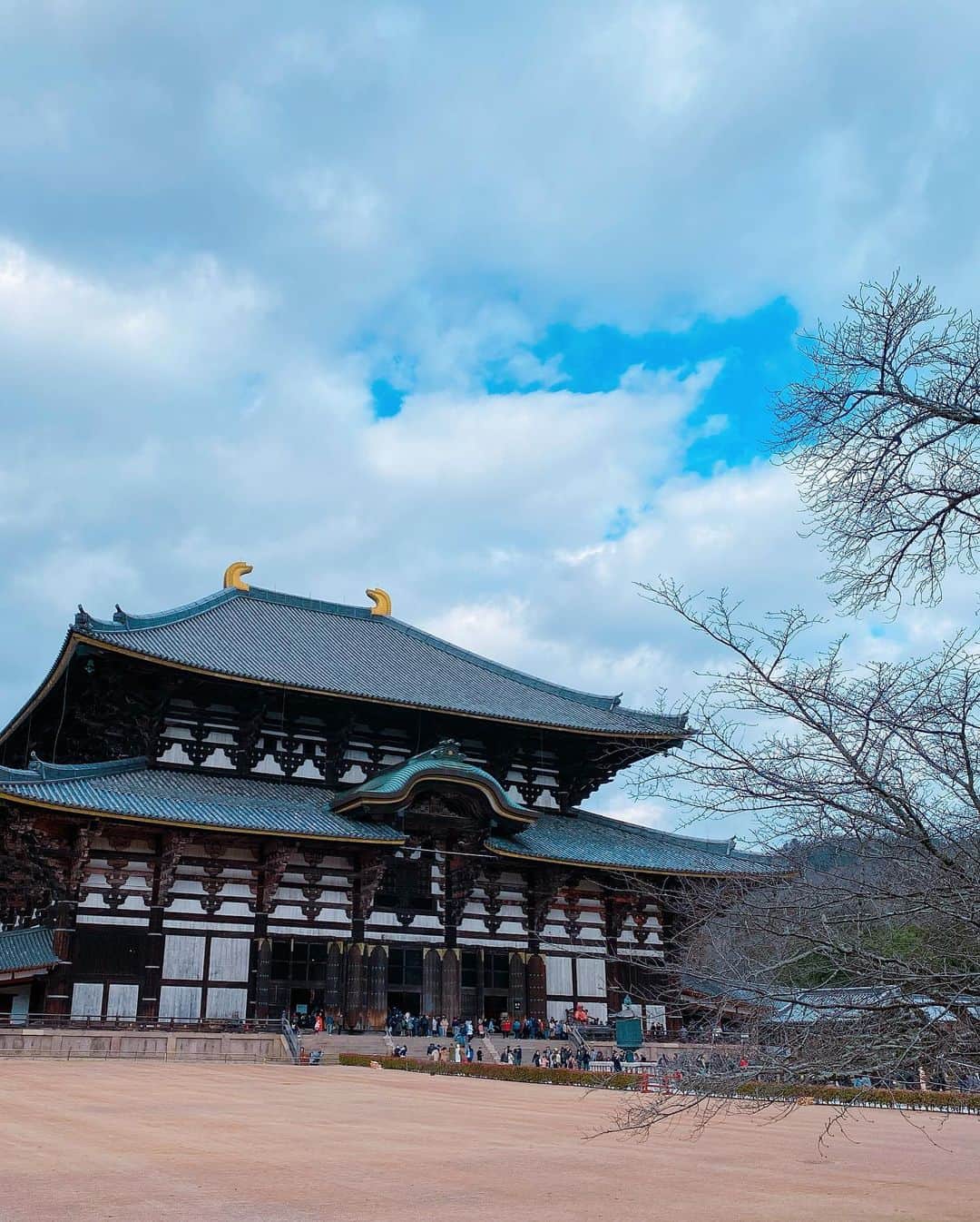 長谷川朋美さんのインスタグラム写真 - (長谷川朋美Instagram)「人生初の#奈良の大仏 ✨ 奈良の大仏ってこんなに大きいんだーって感激😂❤️ ・ 大仏様がある、#東大寺 は#世界最大級の木造建築物 だそうです！ 本当こんなに大きいと思わなくて… 大きさ画像から伝わるかな⁉︎ ・ 日本の文化建築物では、一番感激したかも。 いってよかったー！ ・ それにしても、お正月の京都も奈良も、 半数は外人だったな。 日本人の私でもこれだけ感動するのだから、 海外ゲストからしたら日本amazing‼︎だよね😂 ・ 日本の文化をもっと海外に伝えていきたいな🌈 ・ #amazingview #japan #日本文化 #奈良 #nara #古都 #大仏 #todaiji #temple #お寺」1月3日 7時41分 - hasegawa.elena.tomomi