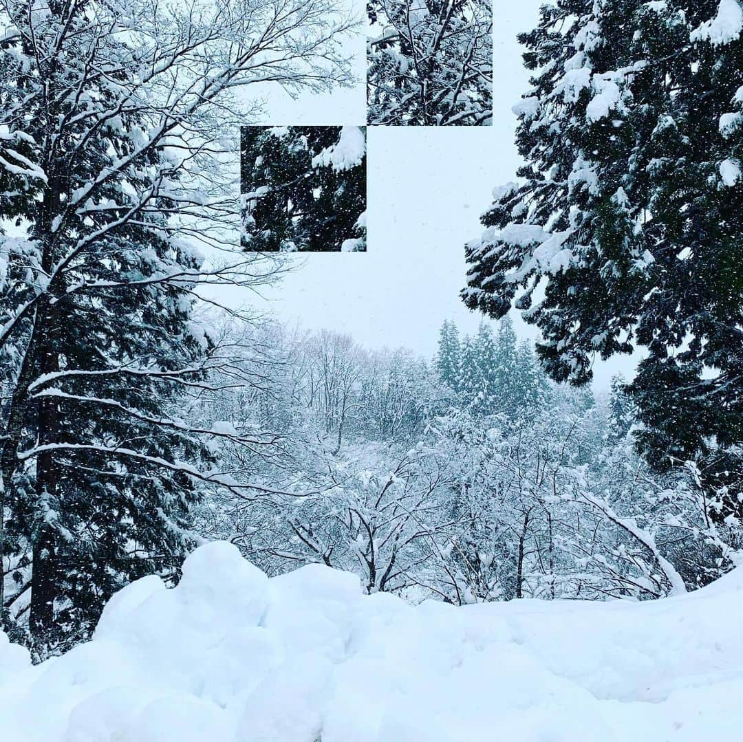 安田美沙子さんのインスタグラム写真 - (安田美沙子Instagram)「おはよう☀ 今年はあんまり積もっていなかったけど、山の方に行くと沢山雪があった。 せっせと雪かき、中々いい腕してはります☃️ あつあつの温泉に主人のお母さんと浸かって、雪景色を眺める贅沢。古き良き正月ってやっぱりいいな😊🎍 . . . #instagood #いつもいく温泉 #山奥 #新潟 #雪 #雪かき #snow #niigata #mountain #ゆきまるだつくろう♫ #アナ雪2が見たくてたまらない」1月3日 10時00分 - yasuda_misako