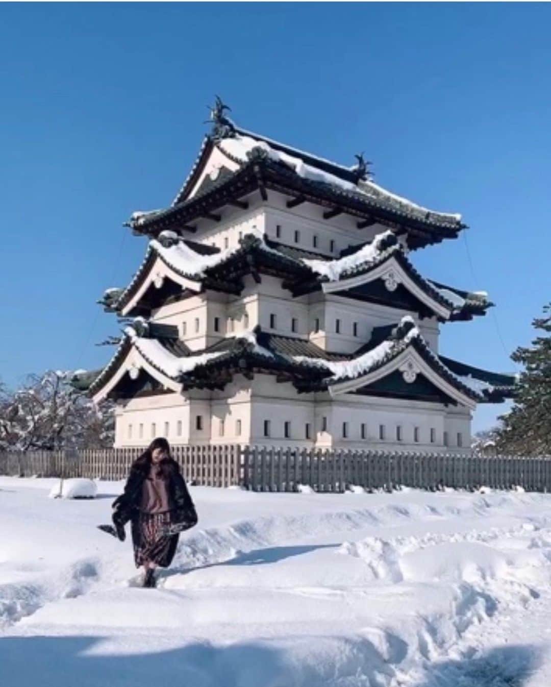 津島衣里さんのインスタグラム写真 - (津島衣里Instagram)「おはようなのだ☃️ 青い空っ♪白い雪〜♪ ‪ふふんふふんふふんふふんふんふんふふん‬♫ #青森 #弘前城 #行くぜ東北 #使徒みたいだね #てんきよしこちゃん」1月3日 10時16分 - eritsushima_official