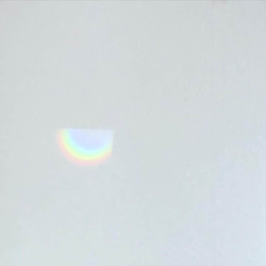 板谷由夏 さんのインスタグラム写真 - (板谷由夏 Instagram)「いいお天気！ 部屋の中に虹を下ちびが発見 みーんなに、良い事、素敵なことが ありますように。 2020健やかに楽しく笑顔多めで 過ごせますように。」1月3日 11時13分 - yukaitaya