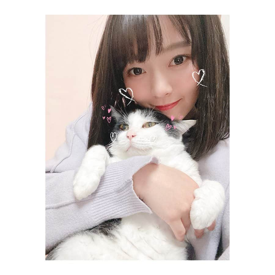 高畑結希さんのインスタグラム写真 - (高畑結希Instagram)「. 久しぶりに会えた🐈💗 また大きくなって🥺癒し💗 . #cat #猫 #ととちゃん #オス #愛猫 #久しぶり #可愛い #いつみても #可愛い #癒し #幸せ #実家 #香川県 #お正月 #2019」1月3日 22時24分 - yuhki_takahata