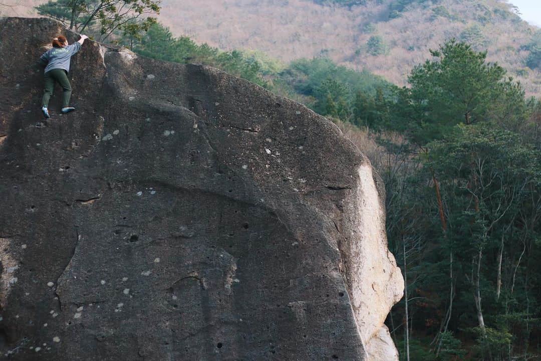 坂本朱里さんのインスタグラム写真 - (坂本朱里Instagram)「Dream big❤️Work hard🏃🏻‍♀️﻿ Stay focused and Surround🌱﻿ ﻿ でっかい夢もって努力を惜しまず﻿ 集中すべき目標をーーーーーー🐀🐁🐀🐁🐀﻿ ﻿ ﻿ この岩は、ヤケダケエリアのミジンコ課題。﻿ とっても大きな岩🤩🤩🤩﻿ 登ってるときも登り終えた後も気持ち良すぎる〜😌﻿ ﻿ ﻿ ﻿ #比叡ボルダー﻿ #ヤケダケエリア﻿ #climbing#climbing_photos_of_instagram ﻿ ﻿ ﻿ ﻿ ﻿」1月3日 20時55分 - ayari_shimi