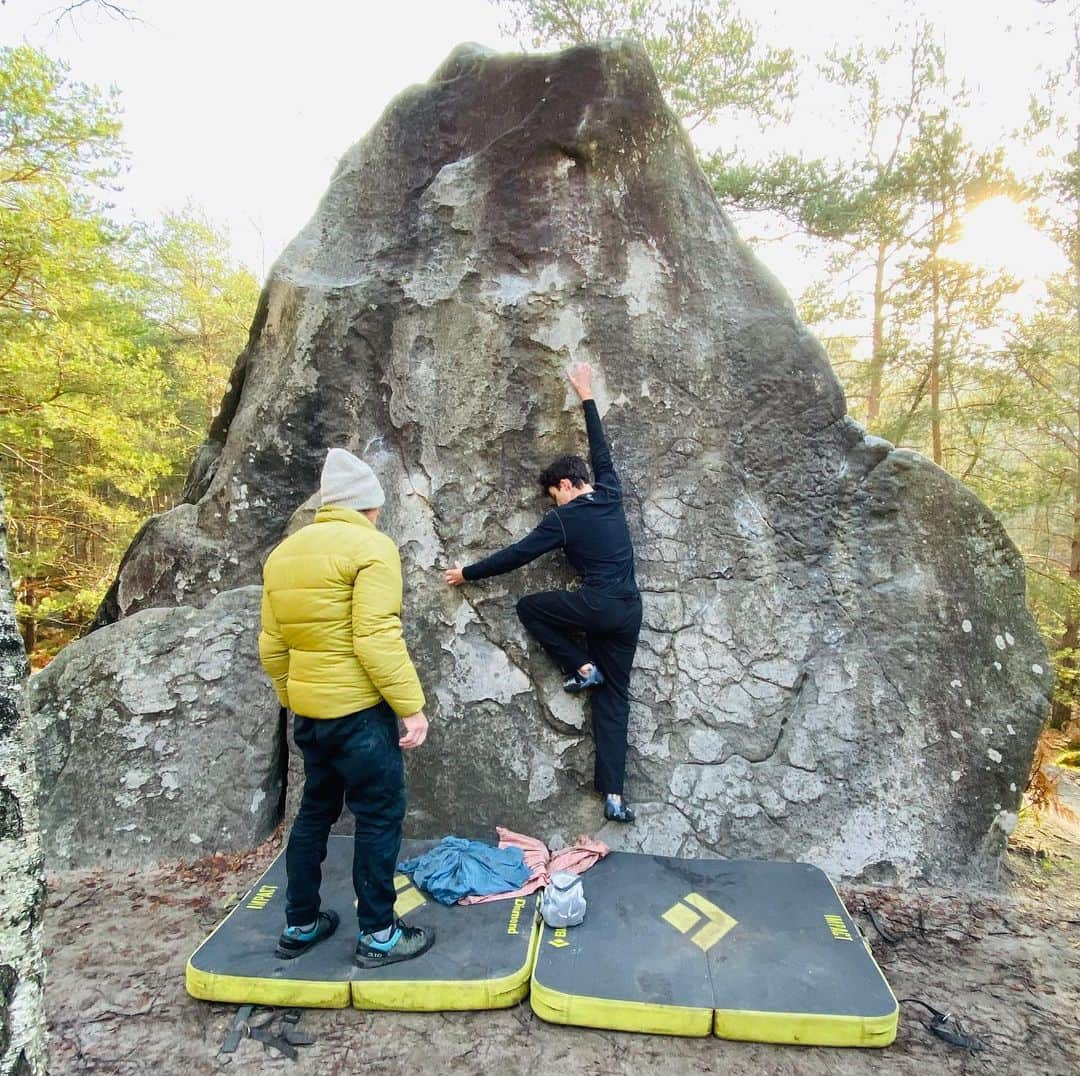 アナベス・ギッシュさんのインスタグラム写真 - (アナベス・ギッシュInstagram)「Brothers bouldering in the forest of Fontainebleau. An absolutely beautiful morning with @christophelaumone 🇫🇷🧗🏻‍♂️#cashallen #enzoallen #wadeallen #teamtouchstonesocal」1月3日 21時13分 - annabeth_gish