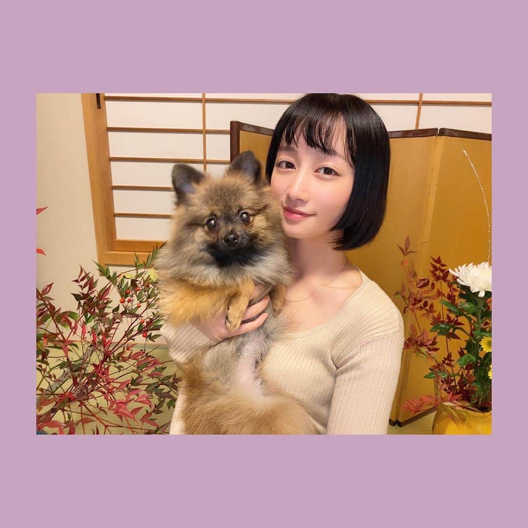 福島雪菜さんのインスタグラム写真 - (福島雪菜Instagram)「ʚ✞ɞ * 改めて、2020年も よろしくね☺︎❤︎ * * 祖母の家は、いつ行っても素敵✨」1月3日 21時22分 - yukina_fukusima
