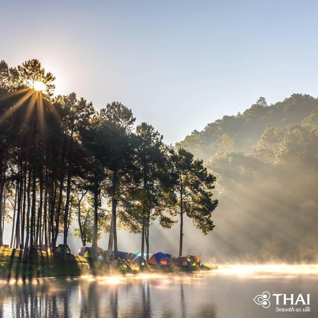 タイ航空さんのインスタグラム写真 - (タイ航空Instagram)「Pang Oung is located in Mae Hong Son, northern Thailand, and is a part of a reservoir in Pang Tong Royal Project. The lake is ringed with pine trees and other verdant foliage with abundant campsites scattered in the woods and along the picturesque shoreline. The place is thronged with campers during long holidays like New Year, but if you visit the place mid-week during other time periods, you might have this stretch of paradise all to yourself.  #ThaiAirways #PangOung #MaeHongSon #Thailand #FlyTHAItoThailand #AmazingThailand」1月3日 21時29分 - thaiairways