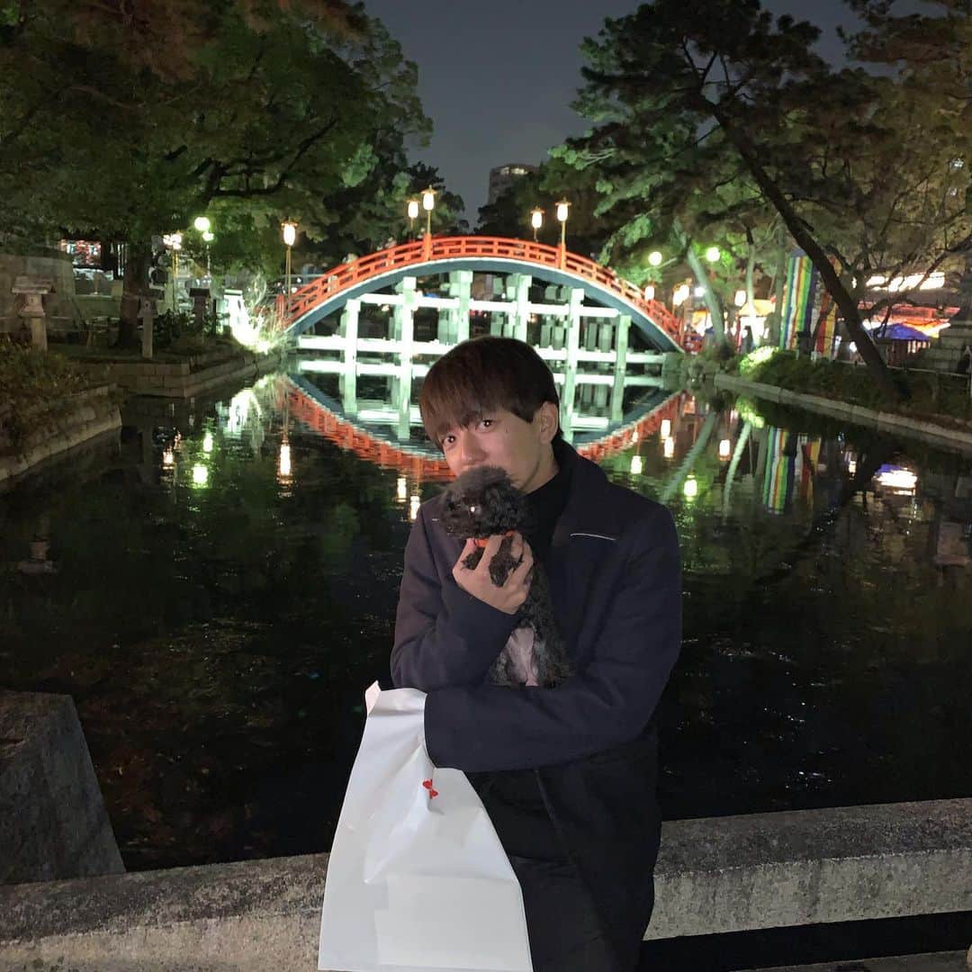大倉士門さんのインスタグラム写真 - (大倉士門Instagram)「初詣。 今年は、伏見稲荷大社ではなく 大阪の「住吉大社」へ。 ルルと一緒に🐶💕 お正月、三が日が終わろうとしてます。」1月3日 21時30分 - shimonsmile
