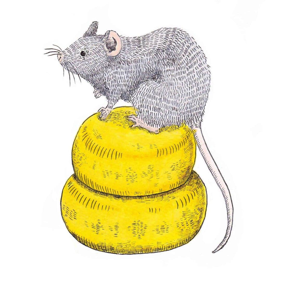 藤井祥子のインスタグラム：「. A HAPPY NEW YEAR 2020 🐀🧀 . . . 今年も宜しくお願いいたします。 鏡餅ならぬ鏡チーズねずみ🧀🐭🧀 . 🖋🎨 ink & acryl gouache . #illustration  #mouse #cheese  #animal」