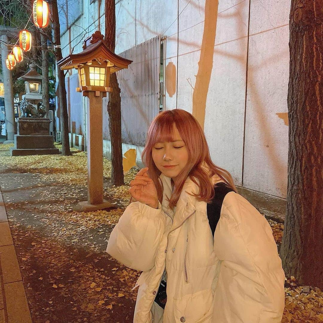 きりたんぽさんのインスタグラム写真 - (きりたんぽInstagram)「秋がまだ居たよ」1月3日 21時58分 - kiritampopopo