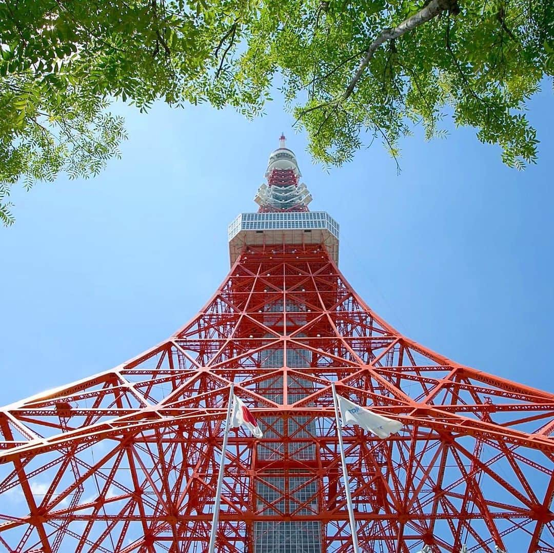 東京タワーの麓の結婚式のインスタグラム