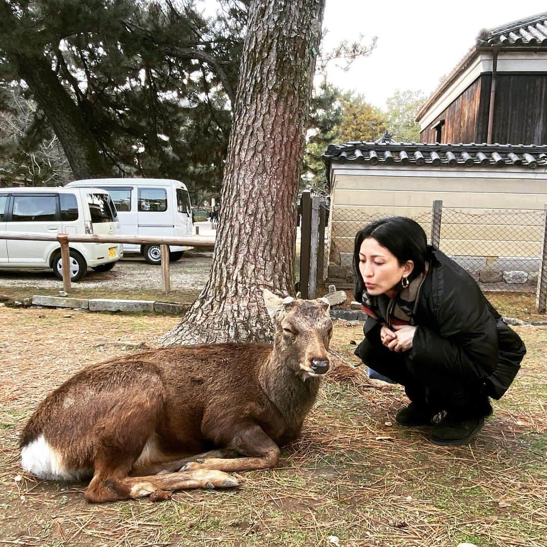 奥田恵梨華さんのインスタグラム写真 - (奥田恵梨華Instagram)「鹿&me #奈良県 #奈良公園 #鹿 #deer #春日大社 #世界遺産」1月3日 13時28分 - erikaokuda_official