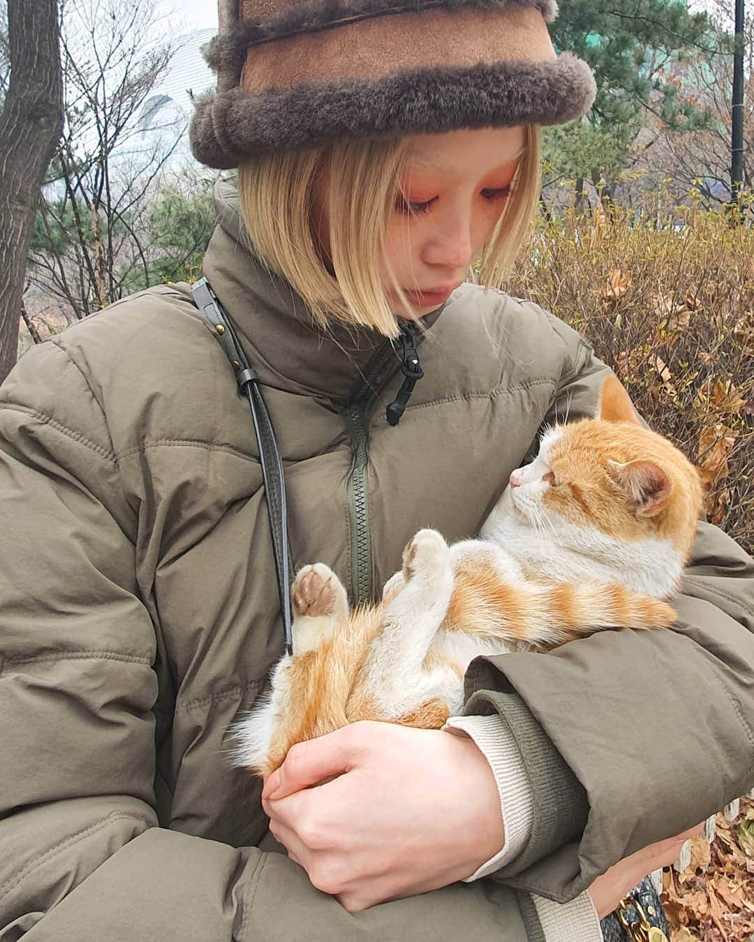 フェルナンダ・リーのインスタグラム：「This cat jumped into my lap while I was trying to take a photo of it. 😭😭😭😭😭 〰️〰️〰️〰️〰️ やばい😭  野良猫ちゃんの写真を撮るながら、 私の膝を登った。 もしかして心が繋げていたかな？ 病気を引けばもかまわない🥰🥰」