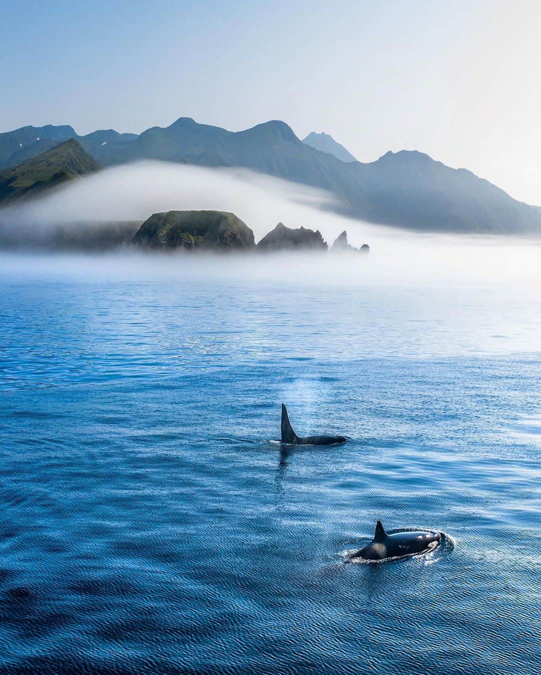 クリス・バーカードのインスタグラム：「2019 is gonna be hard to beat. The Kuril Islands stand as the most mythical place I have ever documented. I have yet to look at all the photographs taken on that trip, and for good reason, because I want to relive the experience as long as possible.」