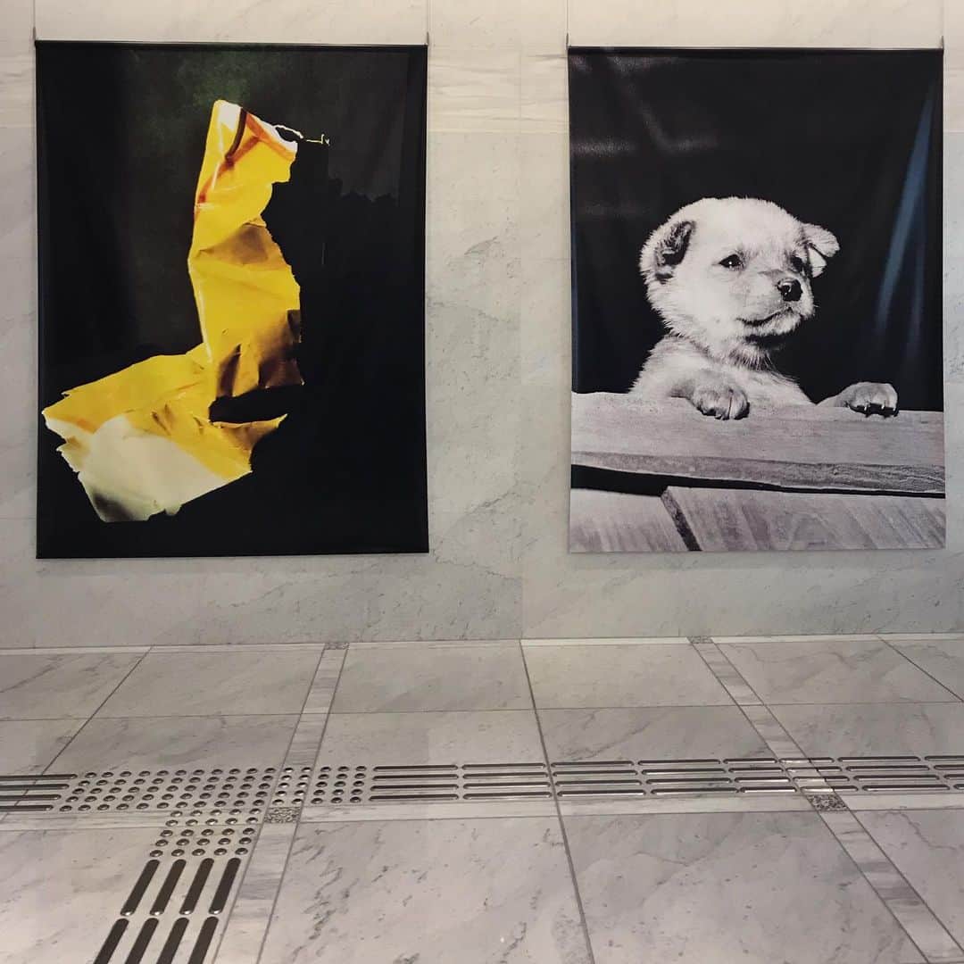 松田青子さんのインスタグラム写真 - (松田青子Instagram)「山沢栄子展でいろいろグッときた。 #eikoyamazawa」1月3日 16時07分 - matsudaoko