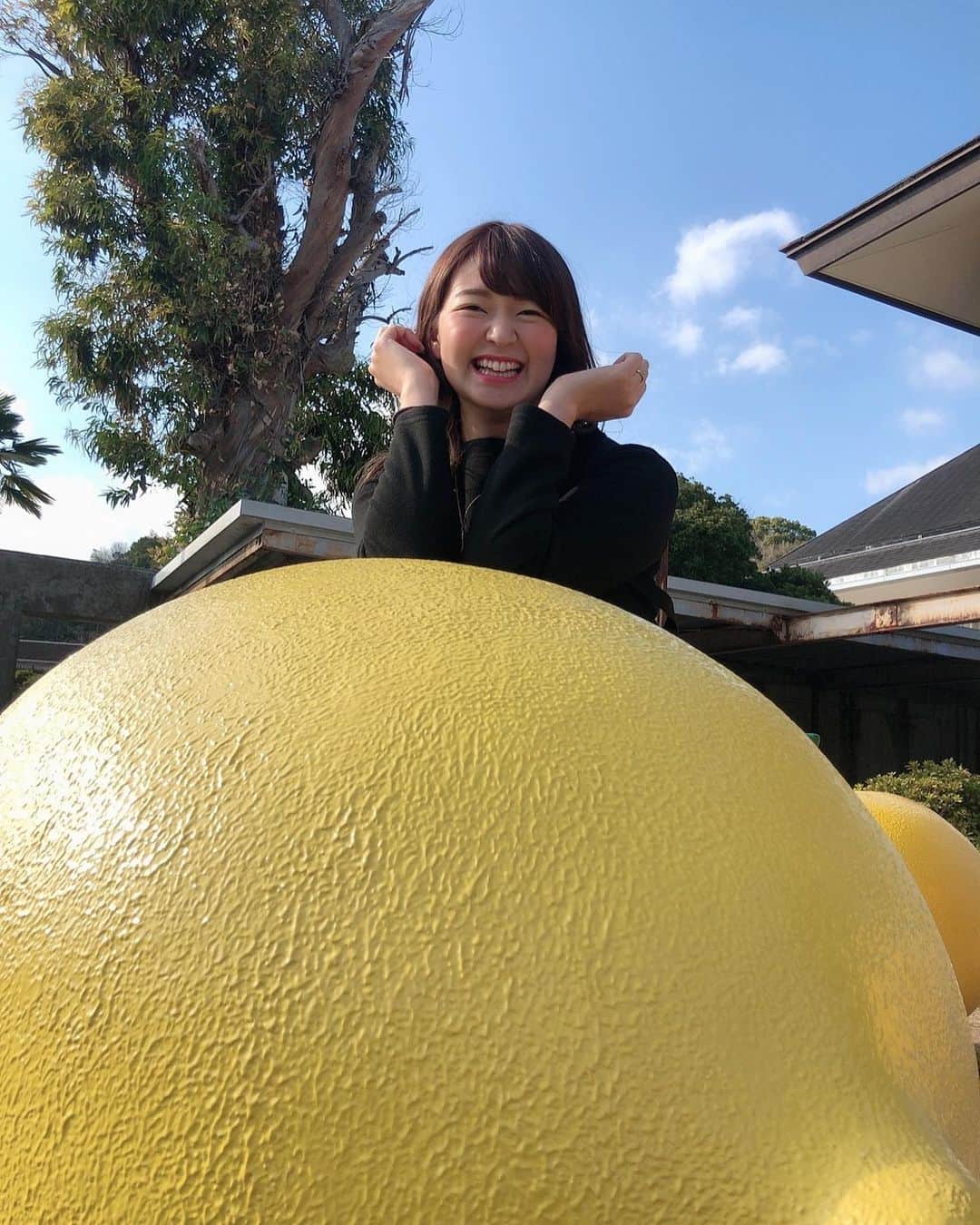 佐々木舞夕のインスタグラム：「___2020.1.2  レモン🍋 フレッシュレモンになりたいの〜💓 #フレッシュレモンになりたい #瀬戸田 #レモン #生口島 #生口島レモン #瀬戸田ドルチェ #ドルチェ #しまなみドルチェ #ジェラート #広島県 #正月 #帰省 #挨拶回り」