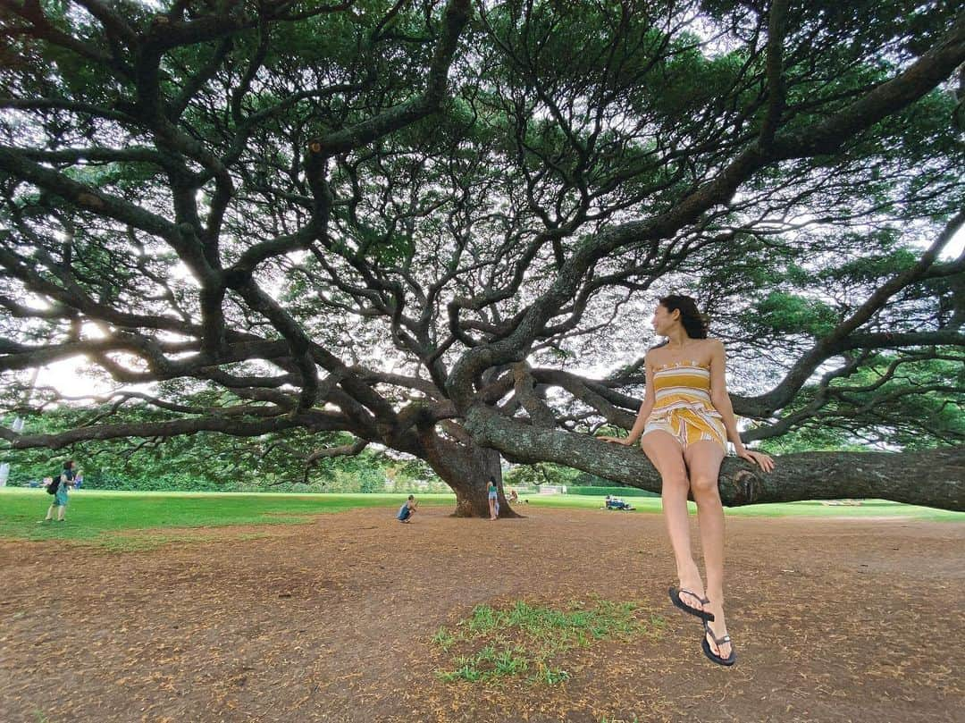 佐々木志織さんのインスタグラム写真 - (佐々木志織Instagram)「今年はどんな一年になるのかな🌳 . . #hawaii#trip#sea#beach#swimwear#memory #ハワイ#旅行#女子旅#南国#あの木何の木大きな木#モアナルアガーデン」1月3日 16時26分 - shiorio118