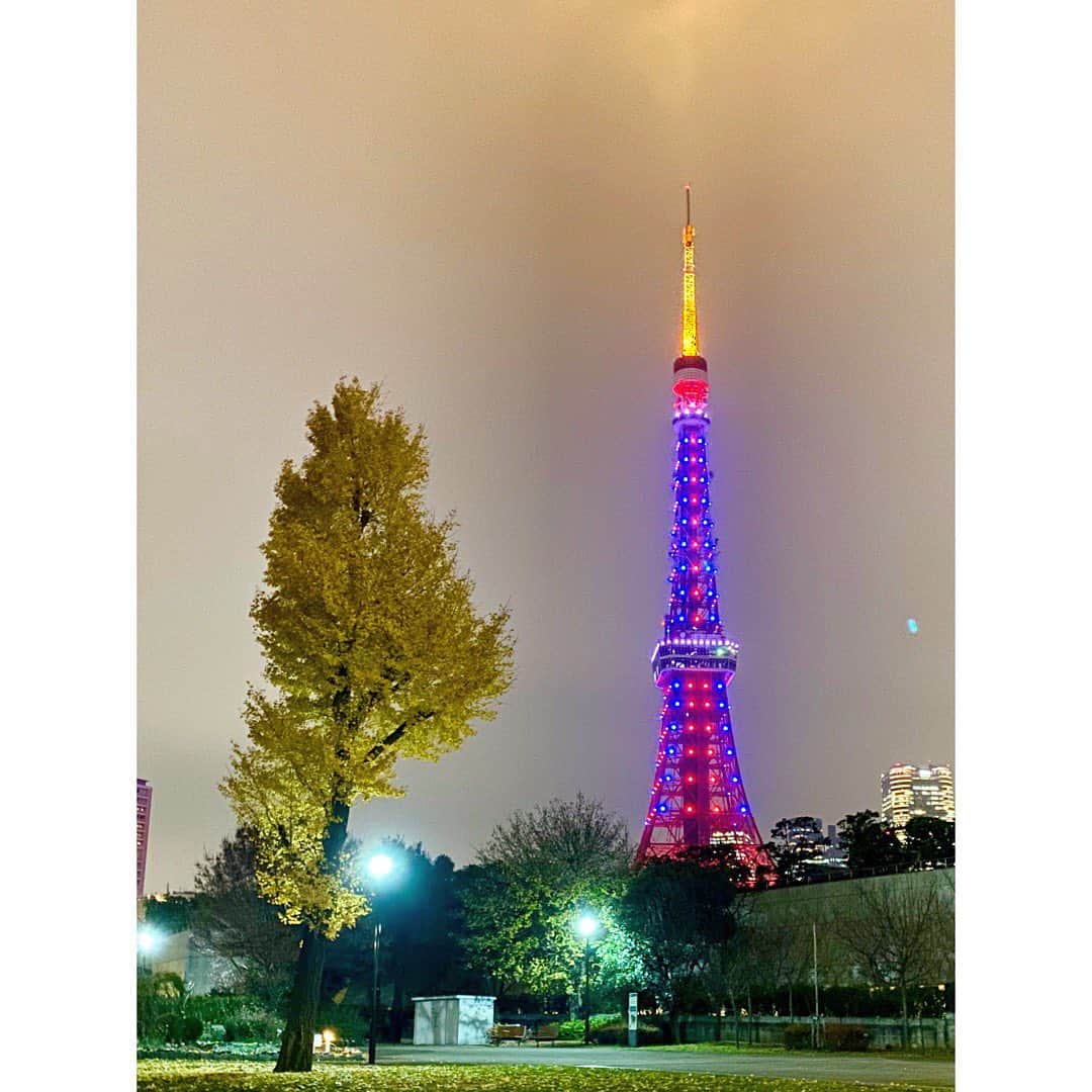 中田奈沙さんのインスタグラム写真 - (中田奈沙Instagram)「🗼🗼🗼 東京タワーより タワー下の食べ物や、 増上寺の屋台の方が気になってしまう、 2020年も食いしん坊なわたし。 * #花より団子 的な？ * * #tokyotower #tokyo #japan #illumination #lightup #colorful #tower #winter #newyear #2020 #nightview #view #holiday #dayoff #wintervacation #東京タワー #東京 #イルミネーション #ライトアップ #夜景 #2020年 #お正月 #正月 #新年 #冬休み #冬 #三が日 #休日 #令和2年」1月3日 16時30分 - nasa_nakada