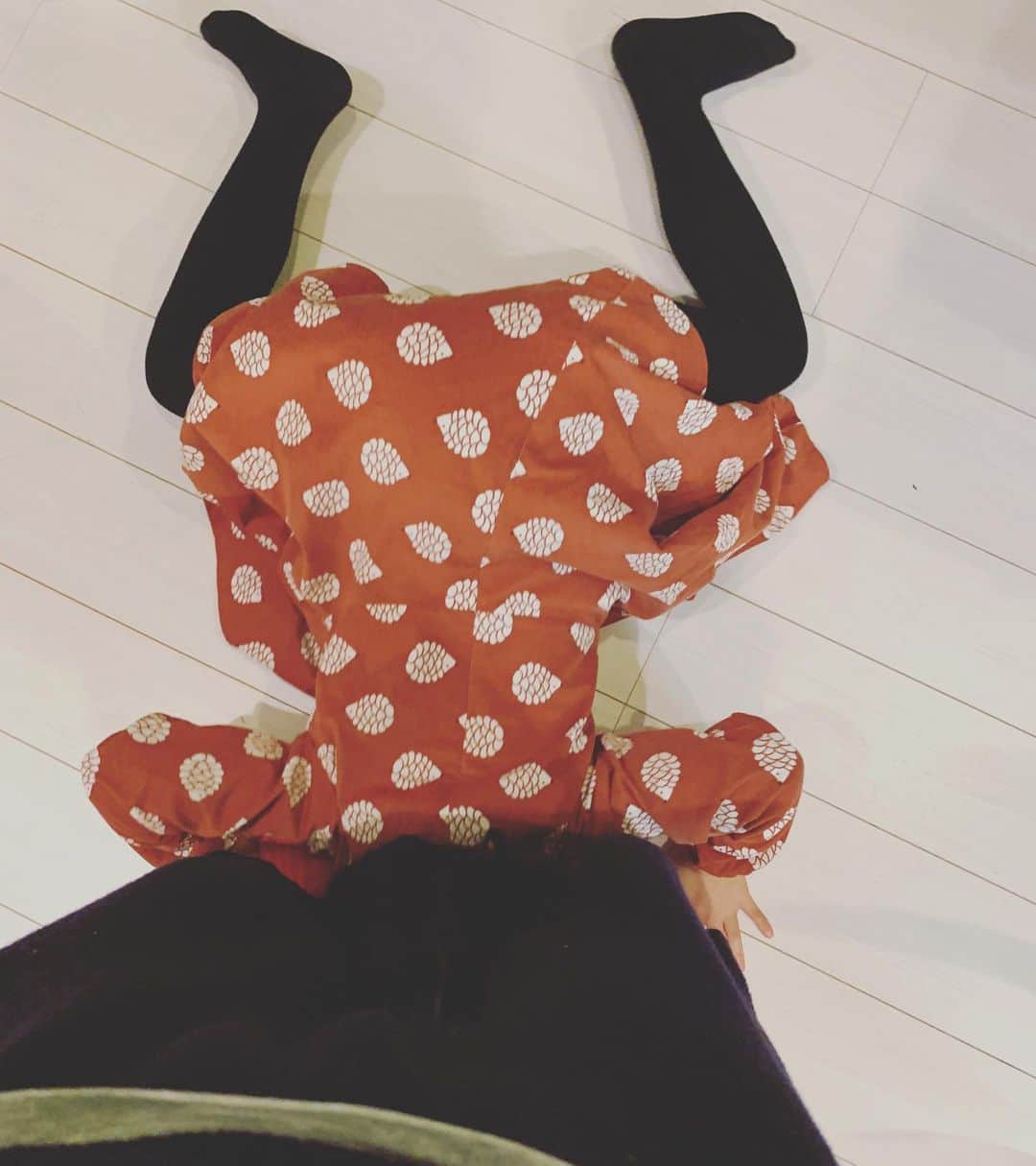 五月女ケイ子のインスタグラム：「元旦に、新しい土下座を見ました。  #ハリネズミが好きです」