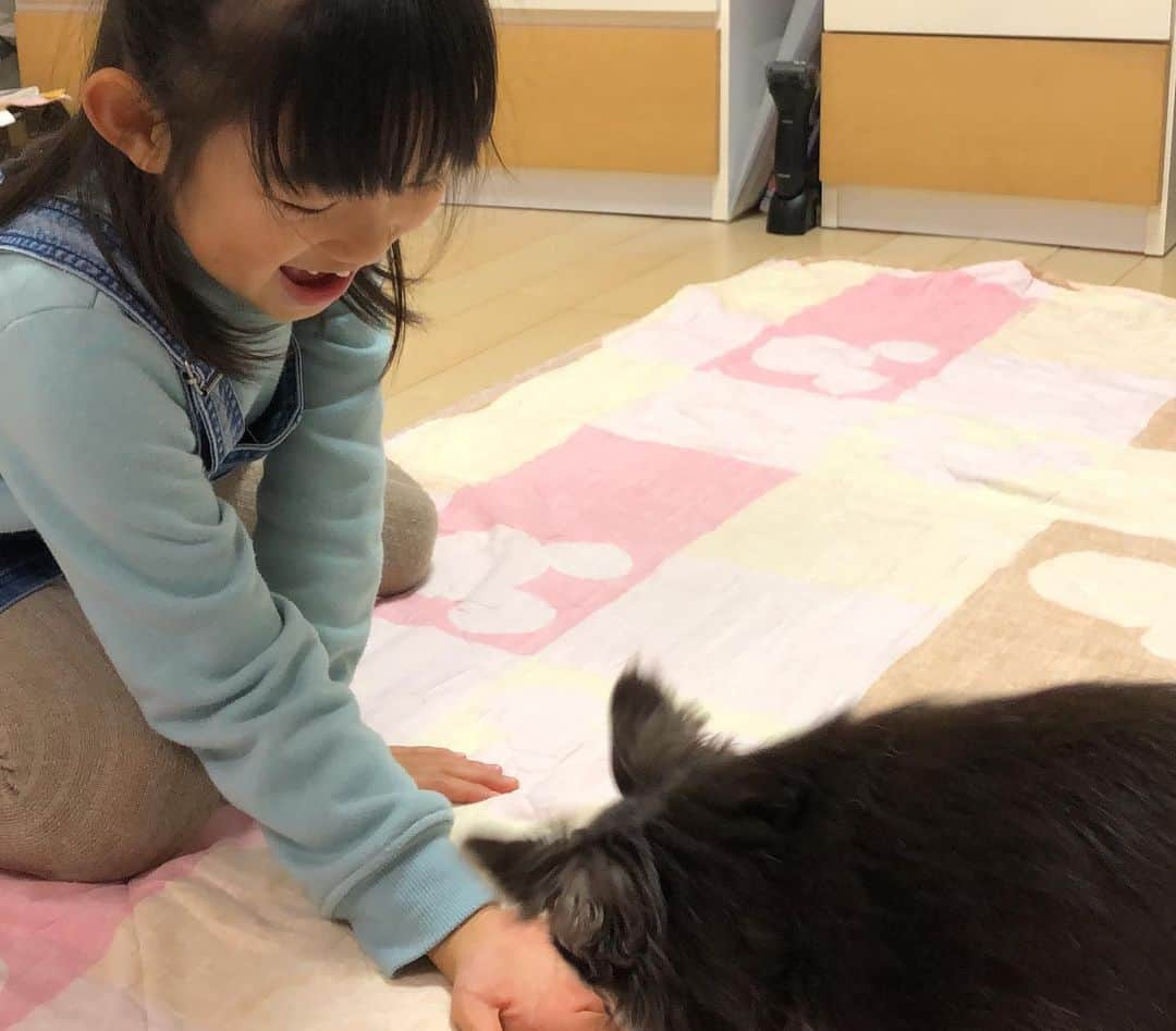 中谷あすみさんのインスタグラム写真 - (中谷あすみInstagram)「実家に帰ってきて、友達と友達の子供とカラオケランチからの動物が苦手なのを克服する会🐕 ココアにすっかり慣れたみたいで、これで犬は大丈夫になったかな？✨ #千葉#帰省#正月#連休#同級生#もうすぐ小学生#チワワ」1月3日 18時38分 - asumi_naa