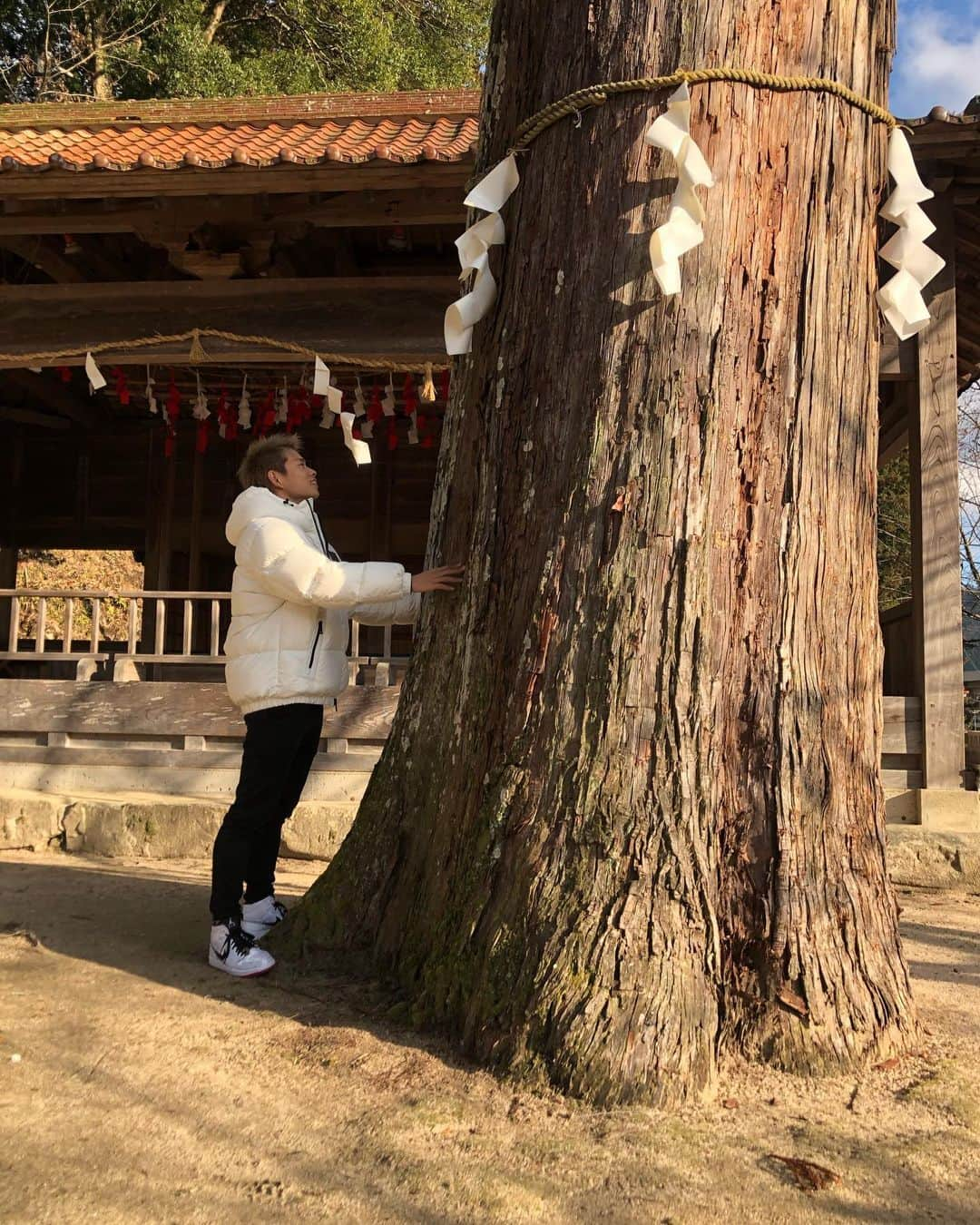 山岡泰輔さんのインスタグラム写真 - (山岡泰輔Instagram)「. . 今年も清神社に初詣に行ってきました😊 今シーズンも頑張ろうという気持ちになりました😆👌 明日から自主トレ開始します🙆‍♂️ . . #初詣 #清神社 #今年も応援宜しくお願い致します #自主トレ #おみくじは4年連続大吉」1月3日 18時46分 - yamaokataisuke__official