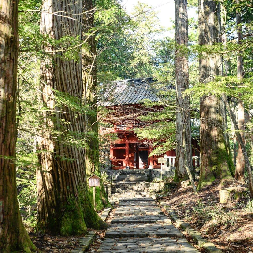 Hanako公式さんのインスタグラム写真 - (Hanako公式Instagram)「2020年、初詣はどこに行く？﻿ ﻿ 豊かな水の気がよい運気をもたらす隠れ家的スポット、瀧尾神社。年月を経た石畳の参道の両脇には、杉の巨木が連なる。アップダウンの激しい参道を進み、運試しの鳥居をくぐると、やがて朱塗りの楼門が見えてきます⛩﻿ ﻿ 【Hanako_神社とお寺特集】﻿ #Hanako #Hanako_magazine #初詣 #お正月 #元旦 #神社 #寺 #お参り #椿大神社 #瀧尾神社 #縁結び#開運 #祈願 #パワースポット #お守り #おみくじ #猿田彦大神 #日光旅行 #栃木旅行 #神社巡り#御朱印 #日帰り旅 #旅行 #女子旅 #タビジョ #temple #2020年 #子年 #日光 #photoby_MichiMurakami」1月3日 18時40分 - hanako_magazine