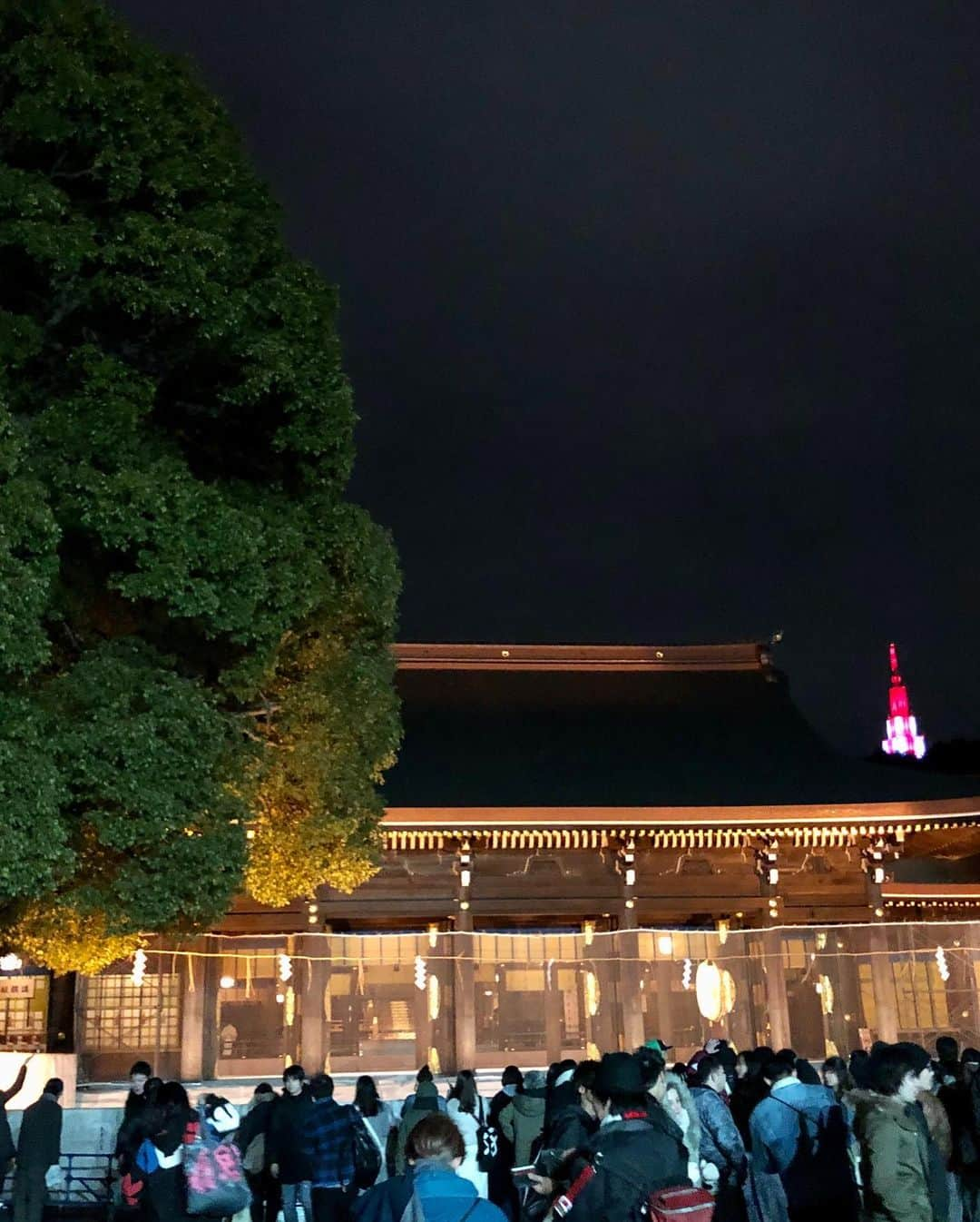 kogao283さんのインスタグラム写真 - (kogao283Instagram)「#初詣2020 #辛國神社#明治神宮 #厄除#方位厄除 #七五三#戌の日 #保存用 にどうぞ #あけましておめでとうございます⛩🌅🎍🐹❤️」1月3日 18時54分 - kogao283