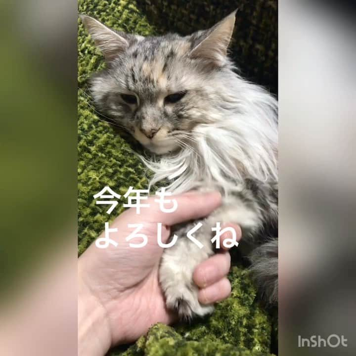 大山純のインスタグラム