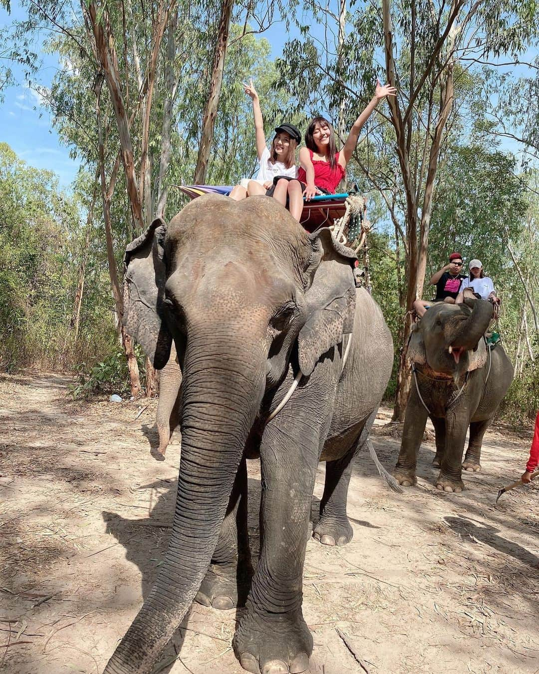 田尻あやめのインスタグラム：「﻿ ﻿ ずーと乗りたかったゾウに乗れたの！🐘✨﻿ めっちゃ揺れるし怖かった笑﻿ ﻿  #タイ ﻿  #パタヤ﻿  #ราชอาณาจักรไทย﻿  #ゾウ﻿」