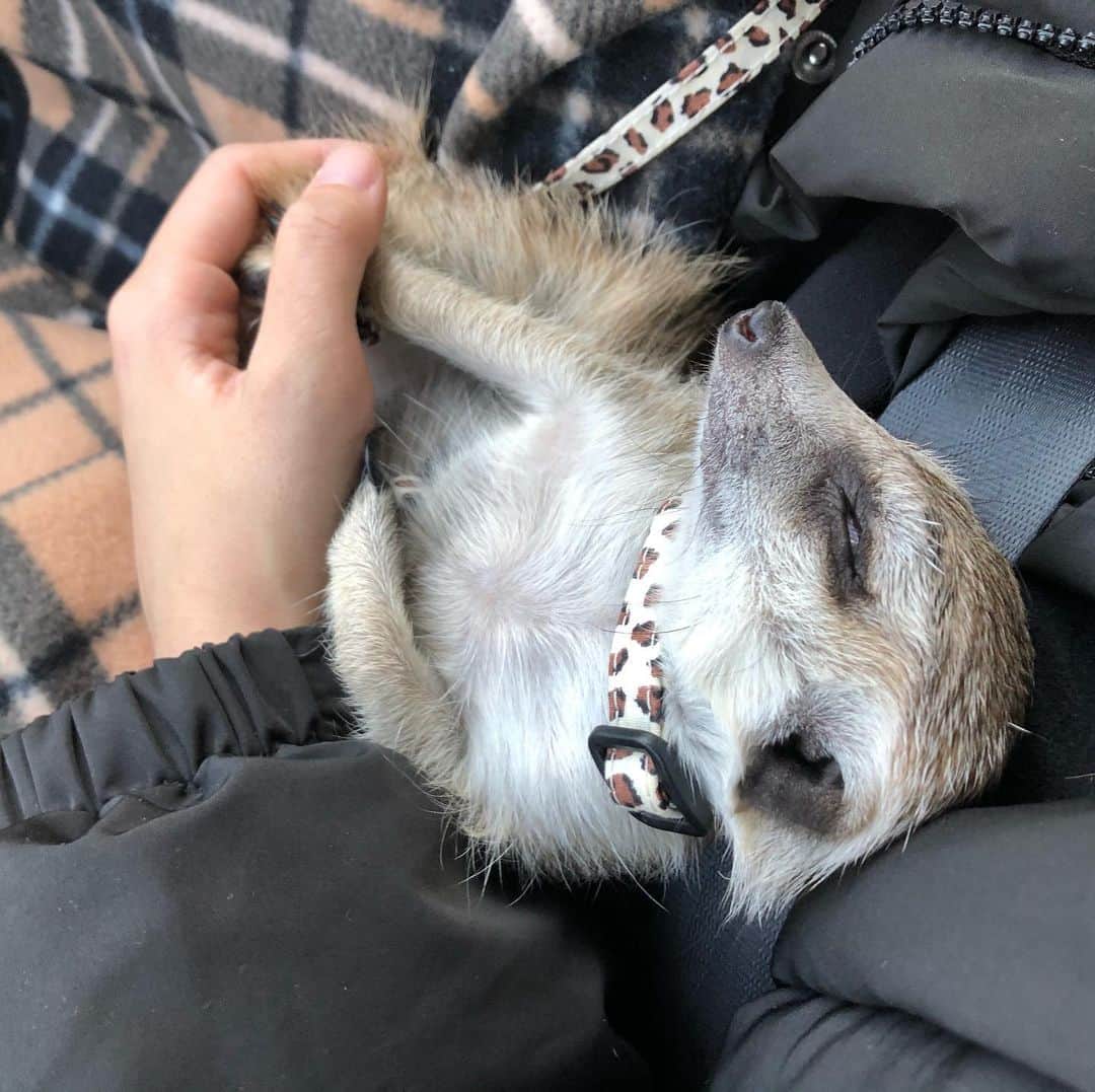 ゆらのインスタグラム：「あけてました😉」