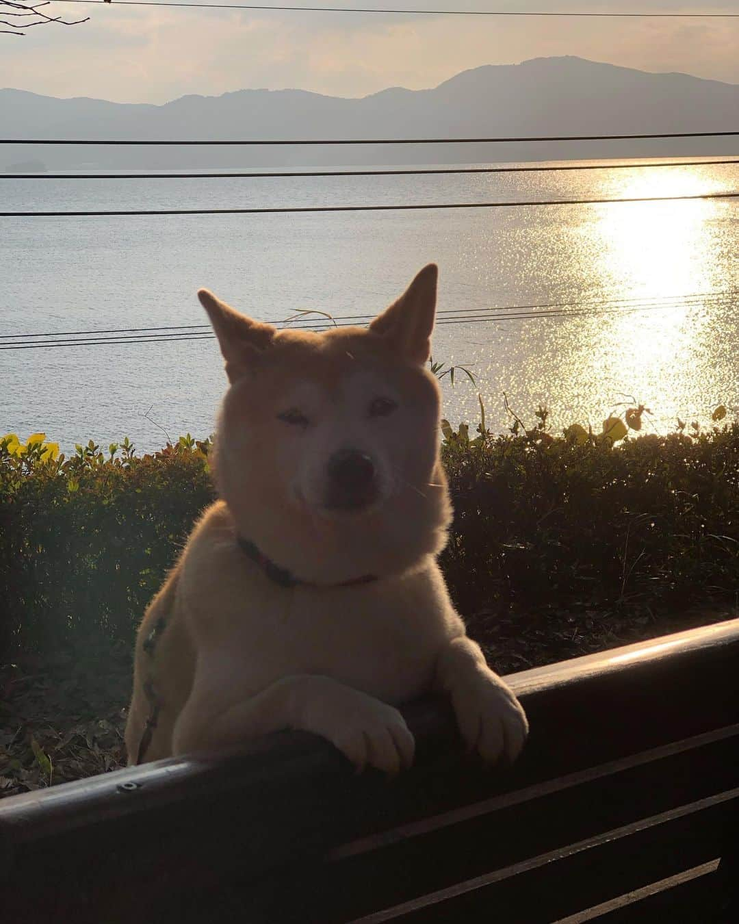 こなつさんのインスタグラム写真 - (こなつInstagram)「海のキラキラが綺麗でしたー✨」1月3日 20時42分 - makonatu