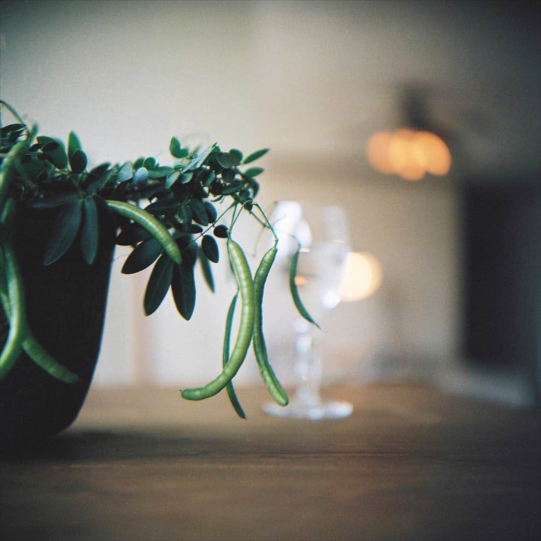 tetrrineのグルメインスタ