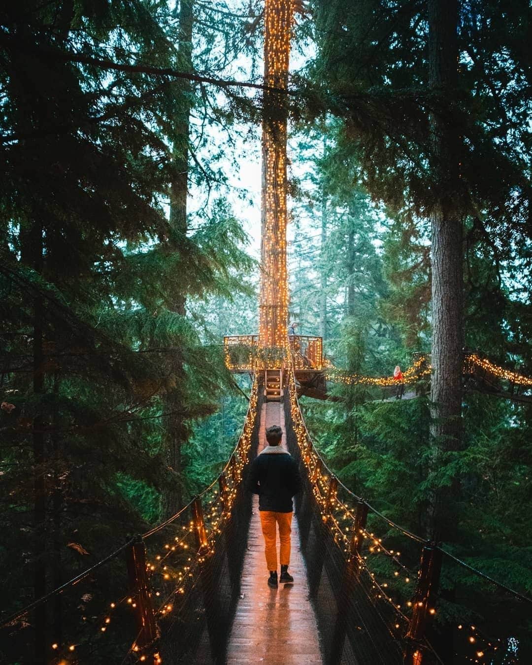 バンクーバー観光局- Tourism Vancouverさんのインスタグラム写真 - (バンクーバー観光局- Tourism VancouverInstagram)「ノースバンクーバーの観光地キャピラノ吊り橋で開催中のイルミネーションイベント「Canyon Lights」は1月26日まで。自然とイルミネーションが演出する幻想的な世界を訪れてみてください。⁠ 📷 : @theojturner(Instagram)⁠ .⁠ .⁠ .⁠ #カナダ #バンクーバー #Vancouver #旅 #旅行 #女子旅 #旅好き #一人旅 #海外旅行 #トラベル #旅女子 #旅行好きな人と繋がりたい #旅好きな人と繋がりたい #旅行好き #旅行大好き #旅行行きたい #旅に出たい #海外 #旅の記録 #旅の思い出 #旅行記 #旅したくなるフォト #マイトリップ #マイトリ #retrip_global #風景 #世界一周 #ダレカニミセタイケシキ #キャピラノ吊り橋 #イルミネーション」1月4日 7時01分 - vancouvertabi