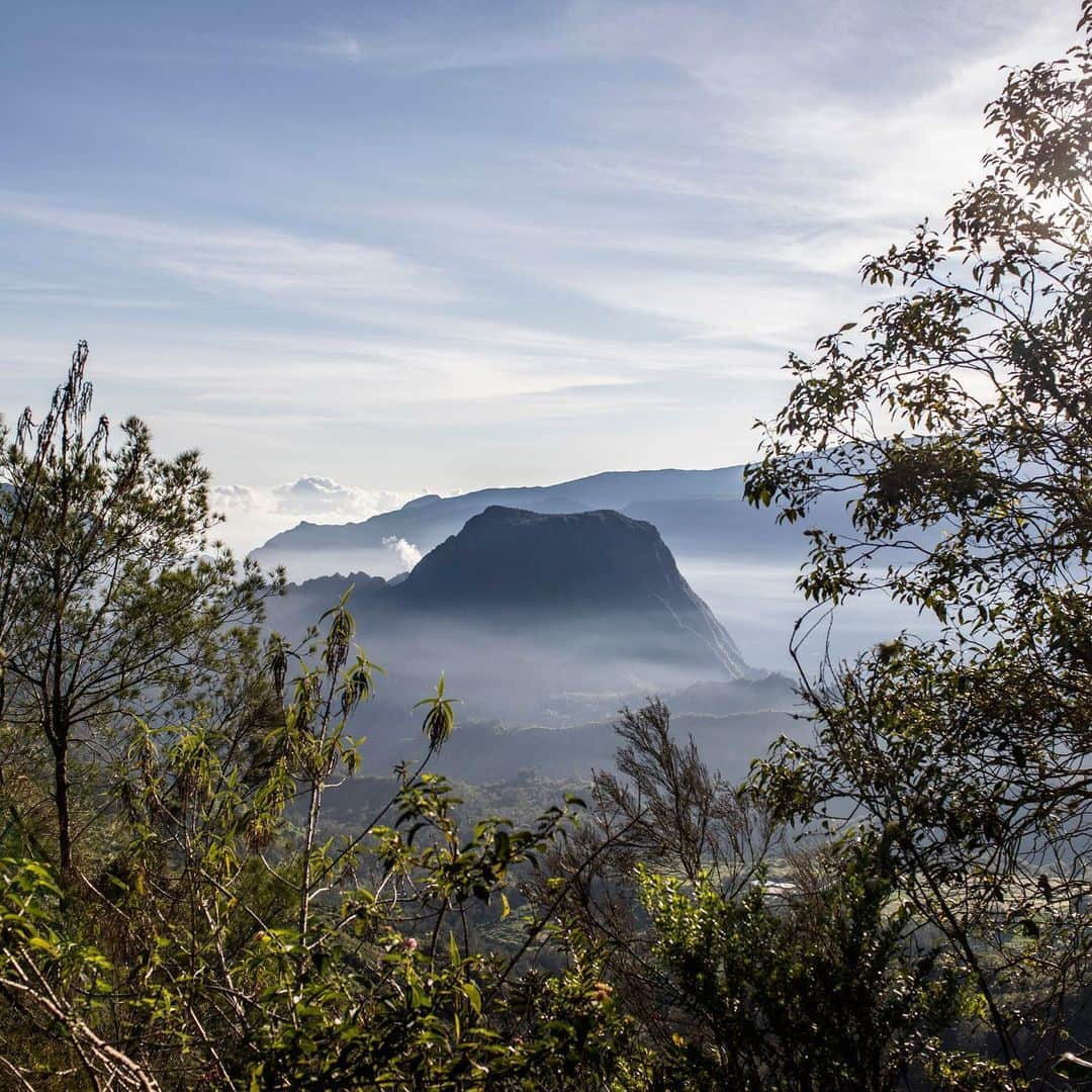 ニューヨーク・タイムズさんのインスタグラム写真 - (ニューヨーク・タイムズInstagram)「The island of Réunion is a hiker’s paradise, not a surfer’s. The coast of this former French colony 400 miles off Madagascar might seem like the ideal spot for a beach vacation, but shark-plagued waters keep tourists landlocked. Since 2011, the small island has been the site of 1 out of every 3 fatal shark attacks on the planet. Réunion’s tourism office has worked to rebrand the place long thought of as France’s Hawaii as a destination for hiking, camping and ecotourism. Tap the link in our bio to read more about the island and its history, and some tips if you plan on traveling there. @gulshanii took these photos.」1月4日 7時20分 - nytimes