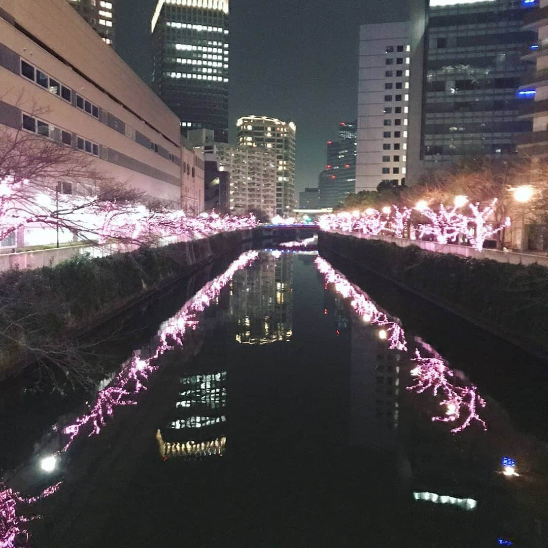 滝香織さんのインスタグラム写真 - (滝香織Instagram)「#東京 #横浜 満喫✨ #お台場 #目黒川 #みなとみらい #イルミネーション #花火  さあ、#愛媛 に帰ります！！！ #tokyo #instagood #tokyotravel #アナウンサー #女子アナ #滝香織」1月4日 7時30分 - kaorin_taki