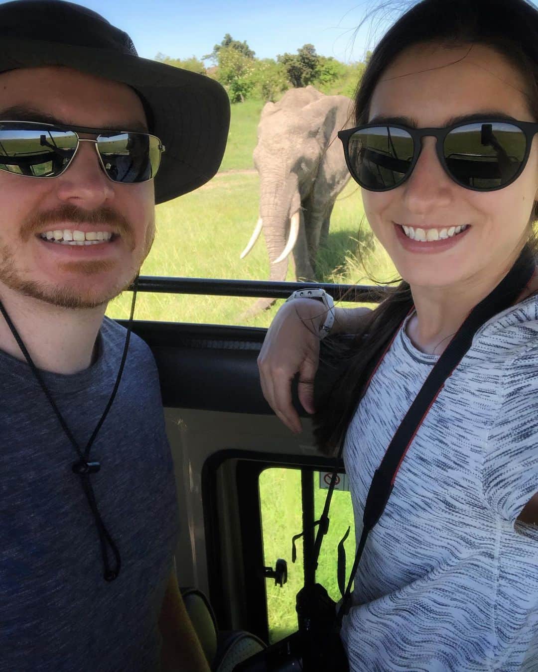 マリッサ・キャステリのインスタグラム：「🐘」