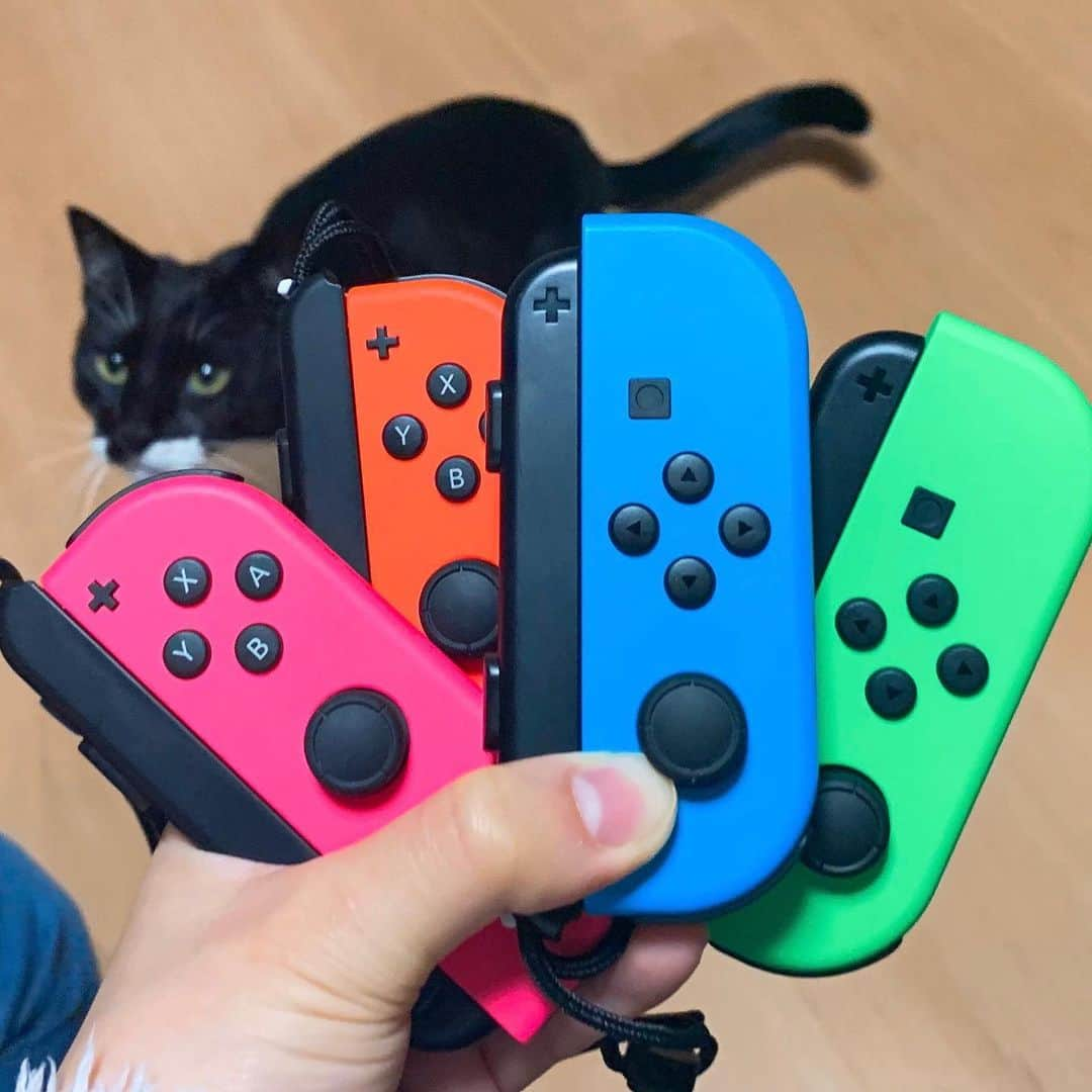 猪狩ともかさんのインスタグラム写真 - (猪狩ともかInstagram)「🎮🎮 . . いちご狩りの後はいとこたちも集まって 祖父母宅に計23人も(笑) . 甥っ子姪っ子たちも一緒に遊べるように スイッチのジョイコン買い足しちゃうおばさん🙋‍♀️ . こういうときしか使わないのは寂しいから 定期的に遊びに来てもらわないと！(笑) もしくは誰か遊びに来て〜❤︎ . . . #nitendoswitch #ジョイコン #背後に猫 #てんとあま #てんの方」1月3日 23時09分 - igari_tomoka