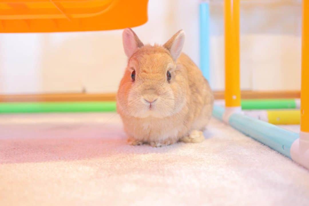 うー & なー ❤️ウチムラのインスタグラム
