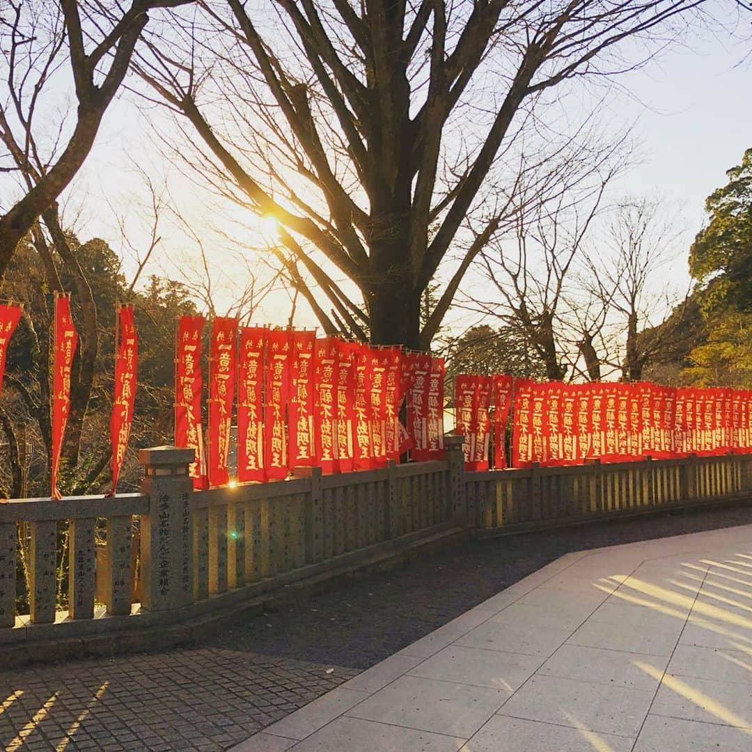 鈴木絢子さんのインスタグラム写真 - (鈴木絢子Instagram)「・ ・ 芦屋神社からの、地元浜松に帰省して#法多山 へ⛩✨ ・ #名物 #厄除け団子 🍡はもとより、#国指定重要文化財 の#仁王門 、#市指定文化財 の#黒門 など歴史を感じる見所ポイントもたくさん✨ ・ おみくじは#凶 が3割というスパルタな法多山ですが、、😅 ・ 地元の平和と発展と、両親と犬の健康長寿を祈願して🙏 今年も参拝できて良かったです😊 ・ ・ ・ #参拝 #初詣 #パワースポット #法多山尊永寺参道 #創業150年🍡 #光 #夕焼け #木漏れ日 #浜松初詣 #静岡県民 #ミニチュアダックス #ダックス親子 #親子犬 #犬連れ #犬連れ参拝 #寺巡り #⛩ #🐶🐶」1月3日 23時21分 - ayako_suzuki810