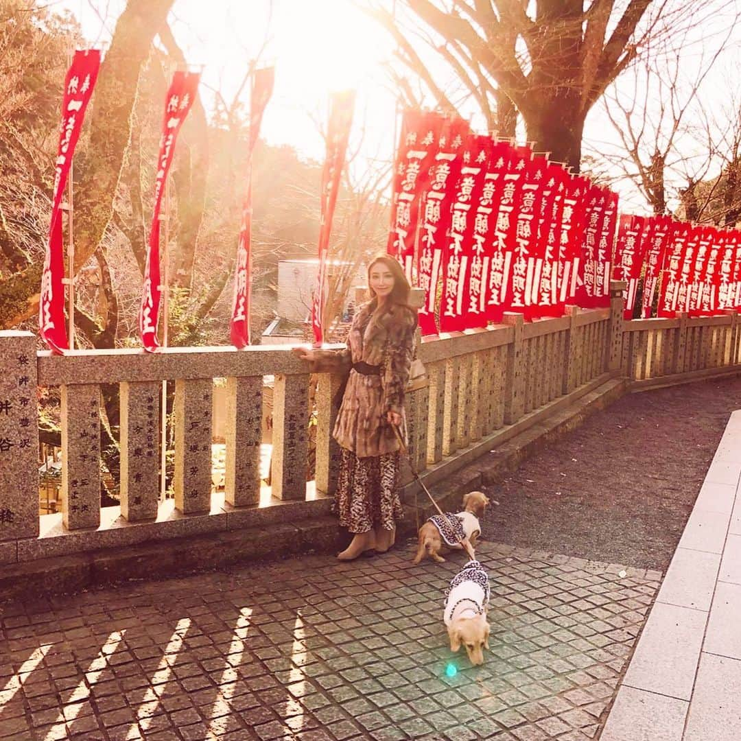 鈴木絢子さんのインスタグラム写真 - (鈴木絢子Instagram)「・ ・ 芦屋神社からの、地元浜松に帰省して#法多山 へ⛩✨ ・ #名物 #厄除け団子 🍡はもとより、#国指定重要文化財 の#仁王門 、#市指定文化財 の#黒門 など歴史を感じる見所ポイントもたくさん✨ ・ おみくじは#凶 が3割というスパルタな法多山ですが、、😅 ・ 地元の平和と発展と、両親と犬の健康長寿を祈願して🙏 今年も参拝できて良かったです😊 ・ ・ ・ #参拝 #初詣 #パワースポット #法多山尊永寺参道 #創業150年🍡 #光 #夕焼け #木漏れ日 #浜松初詣 #静岡県民 #ミニチュアダックス #ダックス親子 #親子犬 #犬連れ #犬連れ参拝 #寺巡り #⛩ #🐶🐶」1月3日 23時21分 - ayako_suzuki810