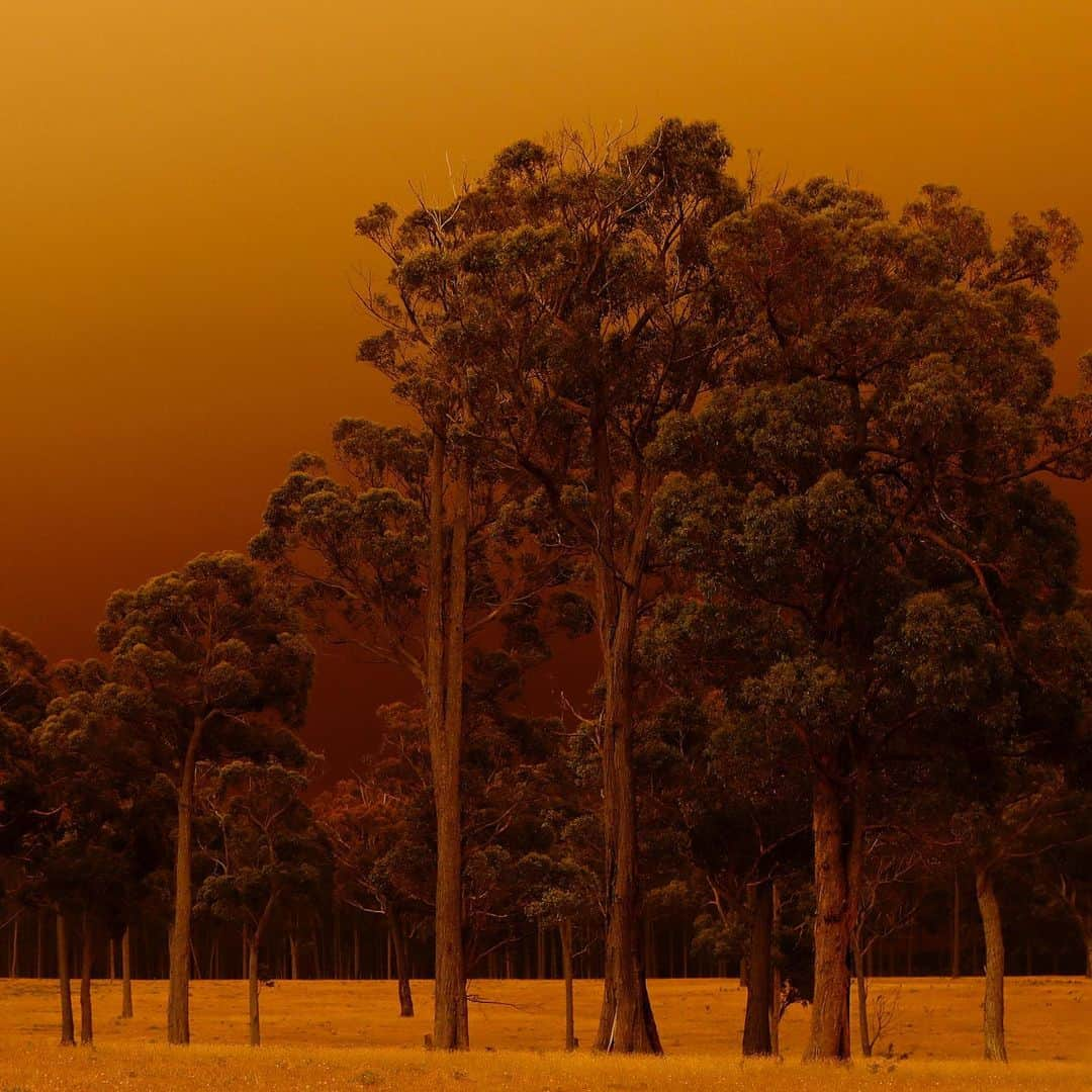 NBC Newsさんのインスタグラム写真 - (NBC NewsInstagram)「Swipe for the week in pictures ➡️ . 🇮🇳 The moon covers the sun in a rare “ring of fire” solar eclipse as seen from the south Indian city of Dindigul. 📷 Arun Sankar / @afpphoto . 🇦🇺 Thick smoke from wildfires fills the air in eastern Gippsland, Australia. 📷 Darrian Traynor / @gettyimages . 🇧🇩 A child stands next to a shelter that burned after a fire broke out in a slum in Dhaka, Bangladesh. 📷 Mohammad Ponir Hossain / @reuters . 🇧🇷 A woman celebrates as she watches New Year’s fireworks at Copacabana Beach in Rio de Janeiro. 📷 Daniel Ramalho / @afpphoto . See more of the week’s best photos at the link in our bio.」1月4日 0時06分 - nbcnews