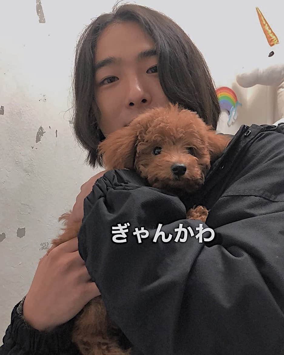 ちかとのインスタグラム：「hanbunco初売りpopup store 残り2日です。 明日12:00〜20:00 ちこちゃんと12:00〜15:00までいます 店頭スタッフ @babu_ogya_  沢山のご来店お待ちしてます！」
