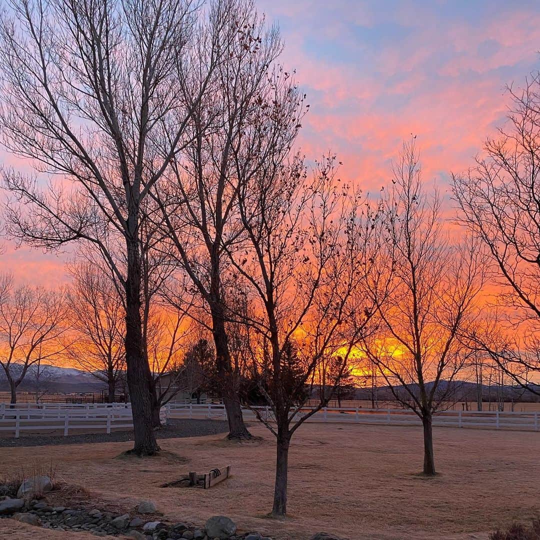 ストーン・コールド・スティーブ・オースチンのインスタグラム：「Sunrise in Nevada.」