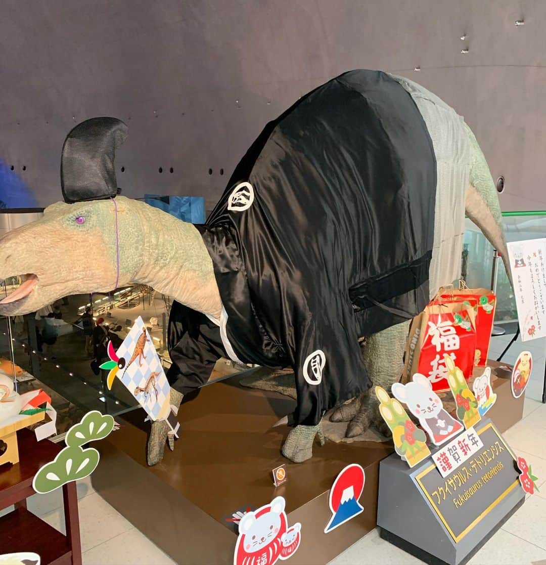 東野幸治さんのインスタグラム写真 - (東野幸治Instagram)「恐竜とお正月、お互いを立たせた結果。。。。 。。おかしなことになった。 両者に気を使う。 テレビ番組でもよくあること。」1月4日 0時31分 - higashinodesu