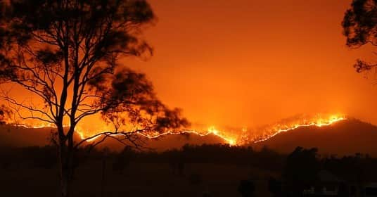 Jackson Harriesさんのインスタグラム写真 - (Jackson HarriesInstagram)「Australia is burning. This is what the CLIMATE CRISIS looks like!  Here are the facts. • Right now 200 fires are raging across the country and thousands of people have been evacuated. • Prime Minister Scott Morrison has been strongly criticised for refusing to acknowledge the link to climate change. • It’s estimated that the animal death toll is higher than 480 million. • The country has lost a third of its Koalas so far. • Over 5,000,000 hectares have burned - to put that in perspective, the Amazon fires destroyed 900,000 hectares.  We need EVERYONE right now. If you’ve doubted the science, if you’ve been waiting for proof to take action, then let this be the moment. Make this the year to demand climate action.  Below are some organisations you can support who are working directly on the ground. If you know any others worth of support please comment below.  Wildlife Rescue - @wireswildliferescue Vic Fire Service - @cfavic  Nsw Fire Service - @nswrfs Red Cross - @redcrossau  Sending love and support to all those affected.」1月4日 0時45分 - jackharries