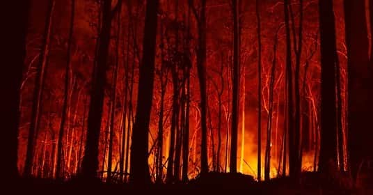 Jackson Harriesさんのインスタグラム写真 - (Jackson HarriesInstagram)「Australia is burning. This is what the CLIMATE CRISIS looks like!  Here are the facts. • Right now 200 fires are raging across the country and thousands of people have been evacuated. • Prime Minister Scott Morrison has been strongly criticised for refusing to acknowledge the link to climate change. • It’s estimated that the animal death toll is higher than 480 million. • The country has lost a third of its Koalas so far. • Over 5,000,000 hectares have burned - to put that in perspective, the Amazon fires destroyed 900,000 hectares.  We need EVERYONE right now. If you’ve doubted the science, if you’ve been waiting for proof to take action, then let this be the moment. Make this the year to demand climate action.  Below are some organisations you can support who are working directly on the ground. If you know any others worth of support please comment below.  Wildlife Rescue - @wireswildliferescue Vic Fire Service - @cfavic  Nsw Fire Service - @nswrfs Red Cross - @redcrossau  Sending love and support to all those affected.」1月4日 0時45分 - jackharries