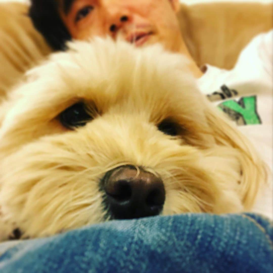 北山陽一のインスタグラム：「おかきもとなりにいます。#きたやまおもち」