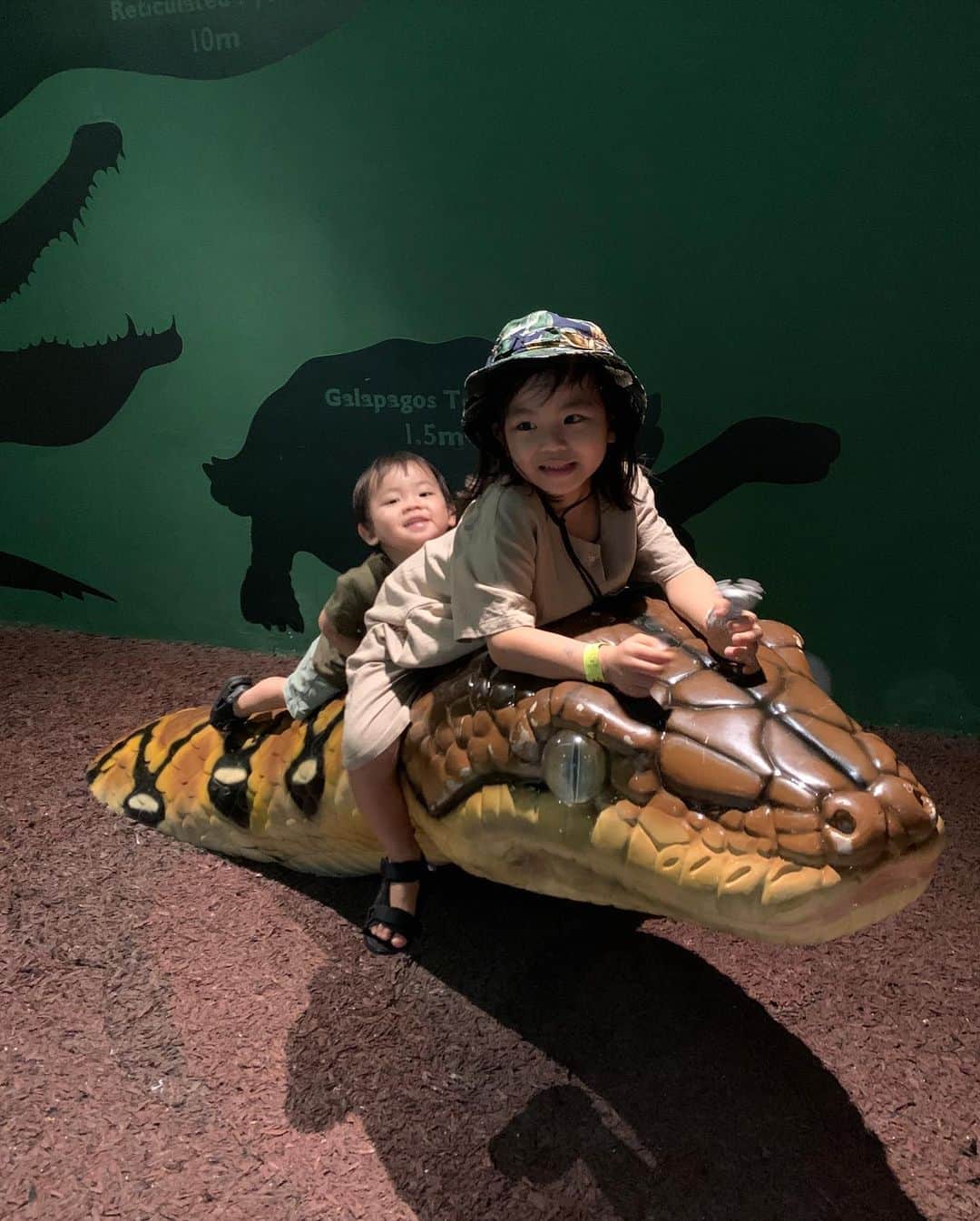 春名亜美さんのインスタグラム写真 - (春名亜美Instagram)「シンガポール動物園は動物達との距離が近くて、息子達も楽しすぎたようです😁 見応えたっっっっぷり！！！ チーターなんて、何度も何度も近くを歩いてくれてサービス精神旺盛🐆 でも、なんだかんだで、爬虫類ゾーンに1番長くいたんじゃないかな🐍🐸🦎 暑さと湿度で最後はベタベタ🙃 ・ ・ ・ #シンガポール動物園 #singaporezoo #シンガポール #singapore #子連れシンガポール #子連れ旅行 #5歳8ヶ月 #2歳5ヶ月 #兄弟 #兄弟ママ」1月4日 0時48分 - amiharunaami