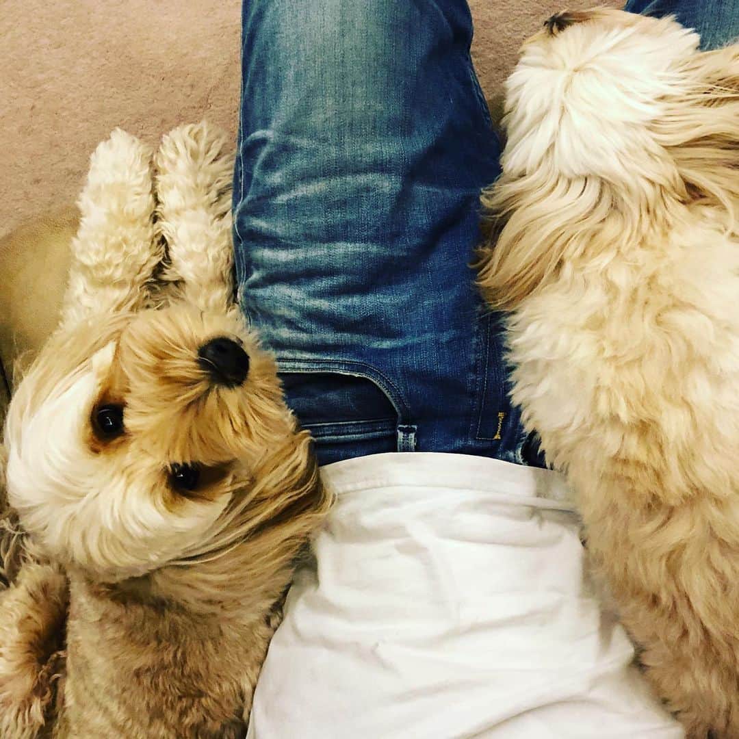 北山陽一のインスタグラム：「こんな。#きたやまおかき #きたやまおもち #きたやまよういち」