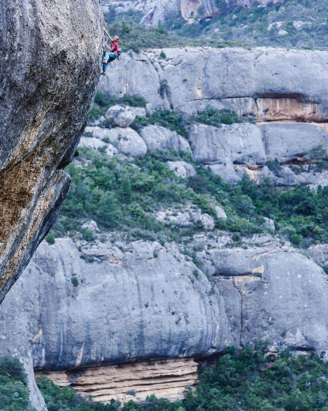 アンジェラ・アイターさんのインスタグラム写真 - (アンジェラ・アイターInstagram)「When my significantly heavier climbing partner is falling, I don’t get wrenched into the first bolt when we use the Edelrid OHM. I feel safe, because this device compensates the weight difference. ✌️But on the contrary, I had already unlucky falls when a heavier partner belayed me!!! 🙈 This may sounds strange for you. But in fact, when I fall I sometimes crash against the wall, because my belayer isn’t aware that a lighter climber doesn’t cause much friction when falling and needs to belay more dynamically. Therefore, I let my belayer know this before. Some of you especially male-female climbing couples know what I mean. 📸 Redbullcontentpool/ @bernardo_gimenez //: Era Vella, Spain  #verleihtflügel @ferienregionimst @lasportivagram @team_edelrid」1月4日 1時33分 - angyeiter